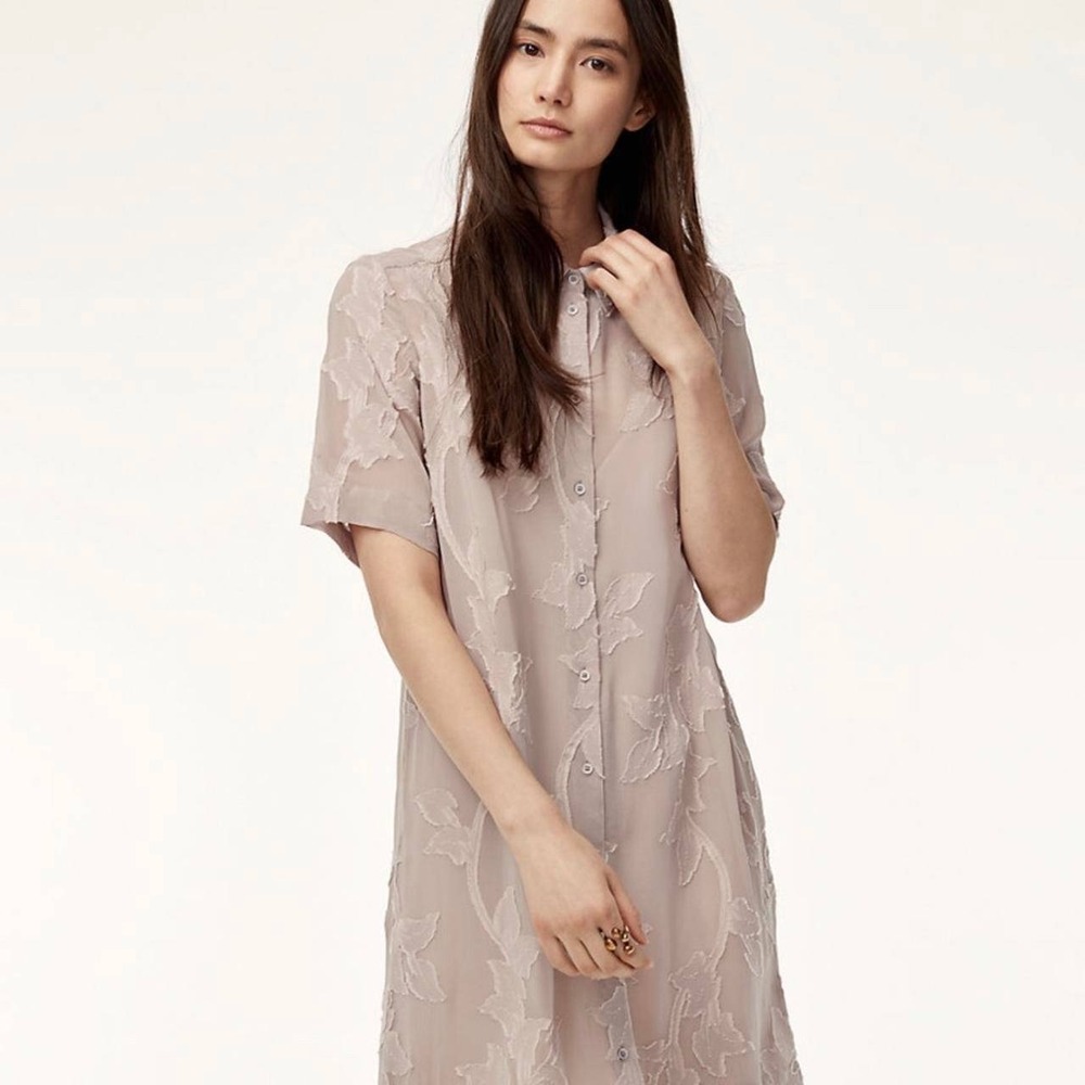 Aritzia Wilfred Hemistiche Textured Floral Shirt Dress light pink sheer size xs